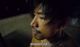 乌鸦哥爆料小炮视频大全,小炮视频大全背后的精彩故事